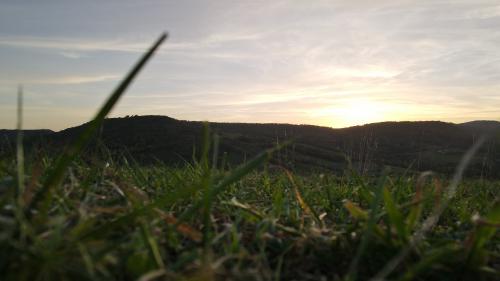 DJI_1855.JPG